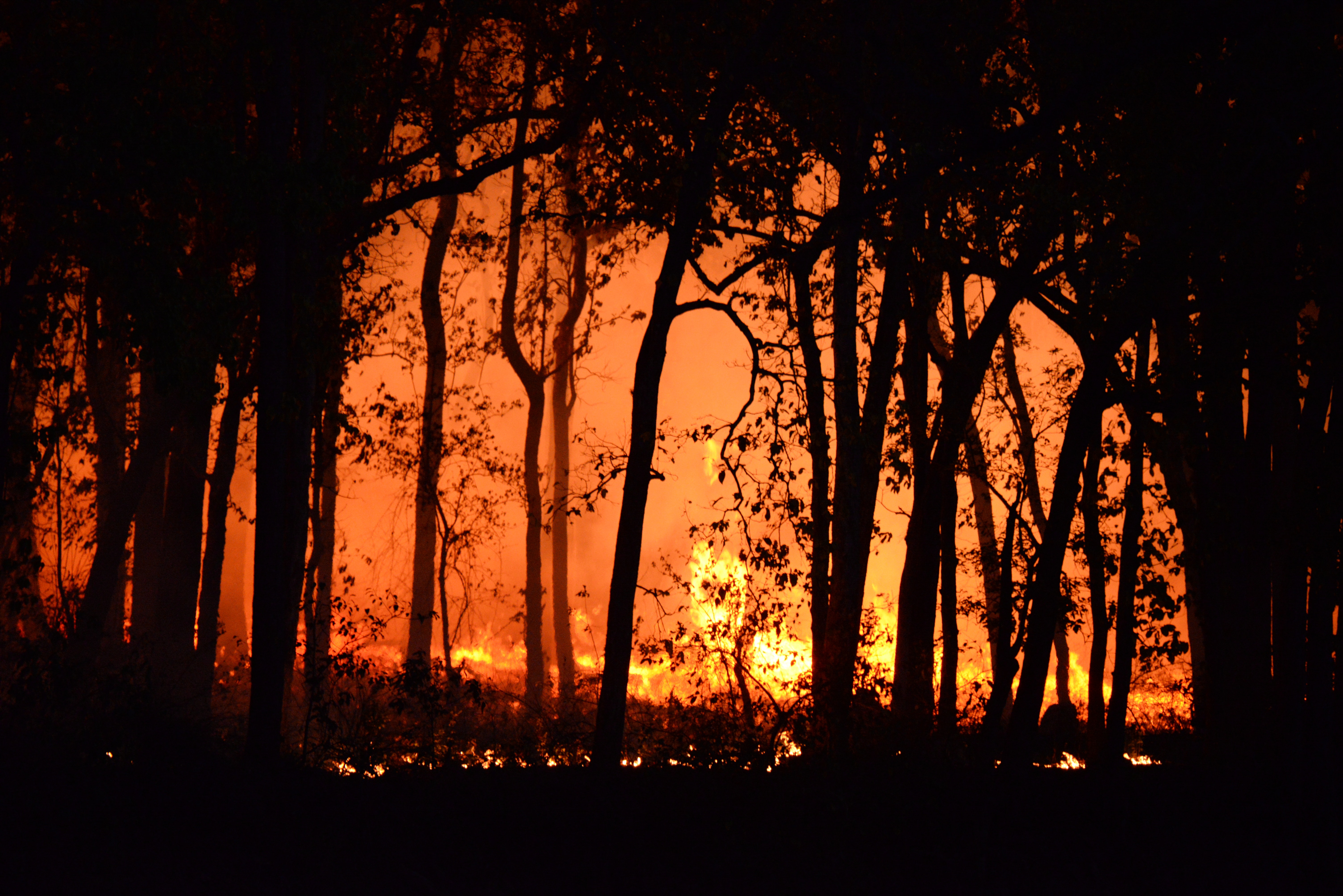 Forest Fire: Image Credits to Deep Rajwar Forest Fire: Image Credits to Deep Rajwar